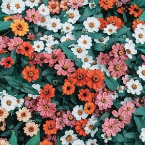 Meet your Posher, Joanna